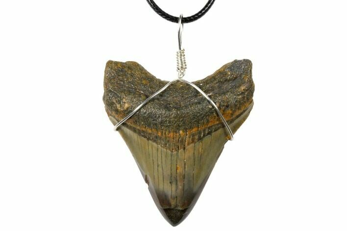 Fossil Megalodon Tooth Necklace #130963